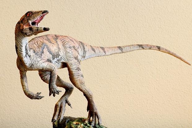 ί��������������(Laquintasaura venezuelae)��ԭͼ