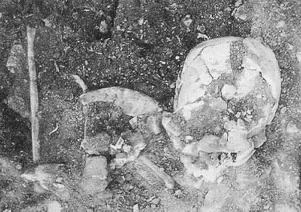 ��������������ʱ������Ĺ�������ַ����Ӫ�ڡ���ţɽ��ַ��