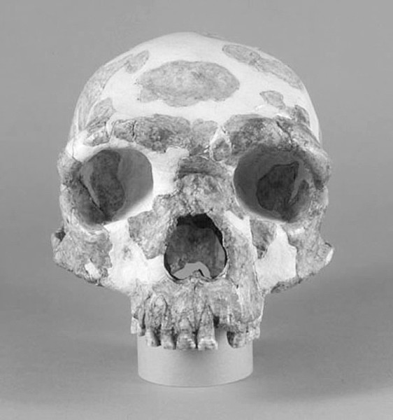 ��ţɽ��ͷ�ǻ�ʯ