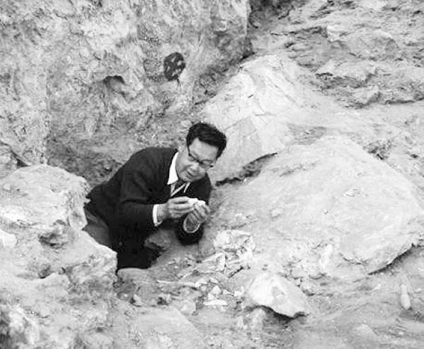 �����̽�������������ţɽ�ˡ�