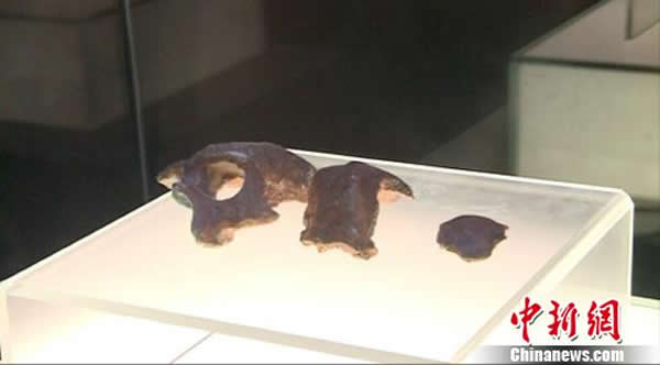 �Ͼ�ֱ���˻�ʯ