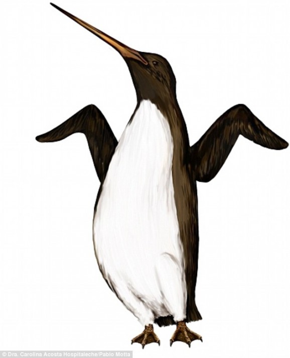 ͢ѧϼ3700ǰ߿ɴ2׵ġ족ԭͼ