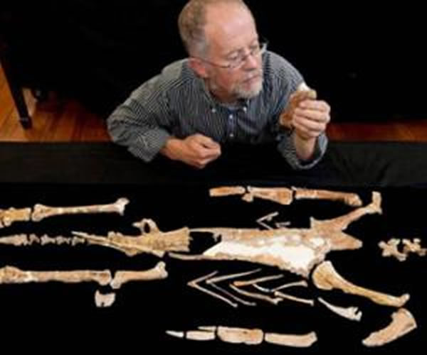 ͢ѧϼ3700ǰ߿ɴ2׵ġ족ʯ