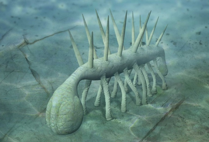 英国学者破解5亿年前寒武纪怪诞虫离奇身世