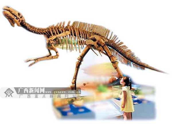 ��ʯ������