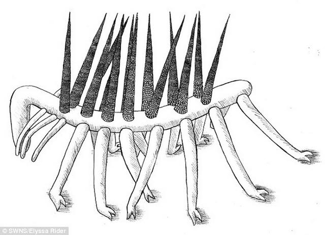 Ӣ�����Ŵ�ѧ��ѧ�������о���ʾ5.05����ǰ�ֵ������ִ�����޳��ǡ����ס�