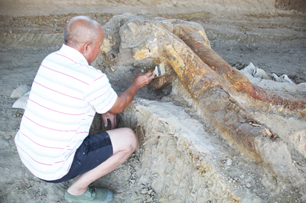 �������ַȺ�״η��ֽ�����������ͷ��ʯ