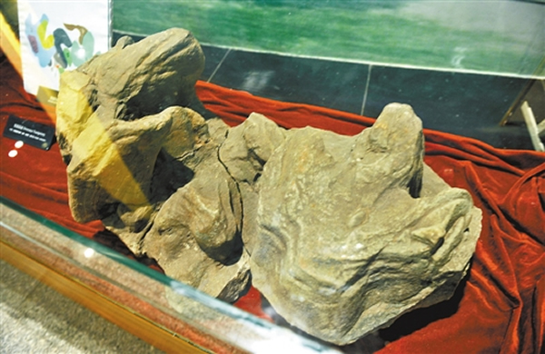 �뽭�����չ�������㼣��ʯ