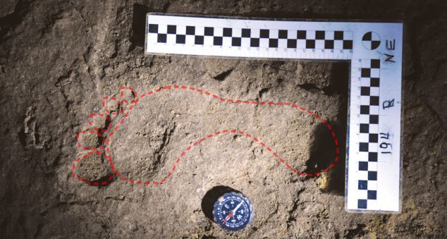 �������Ƕ�Ѩ�з��ֵ������ӡ��ʯ���ܱ�ԭ������Ĺ��ϵö�