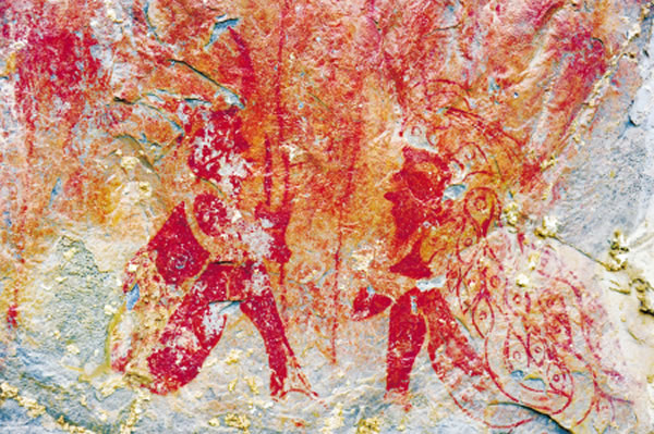 �����ȸ�Ա���Ů���ӵ��һ��������Ǵ��ݳ����ٷḻ����Ϣ