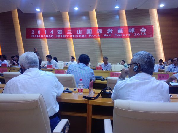 �����һ����ֻ������Ĳ���ݾ���