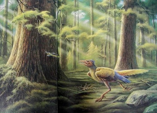 ���п���ԭͼ