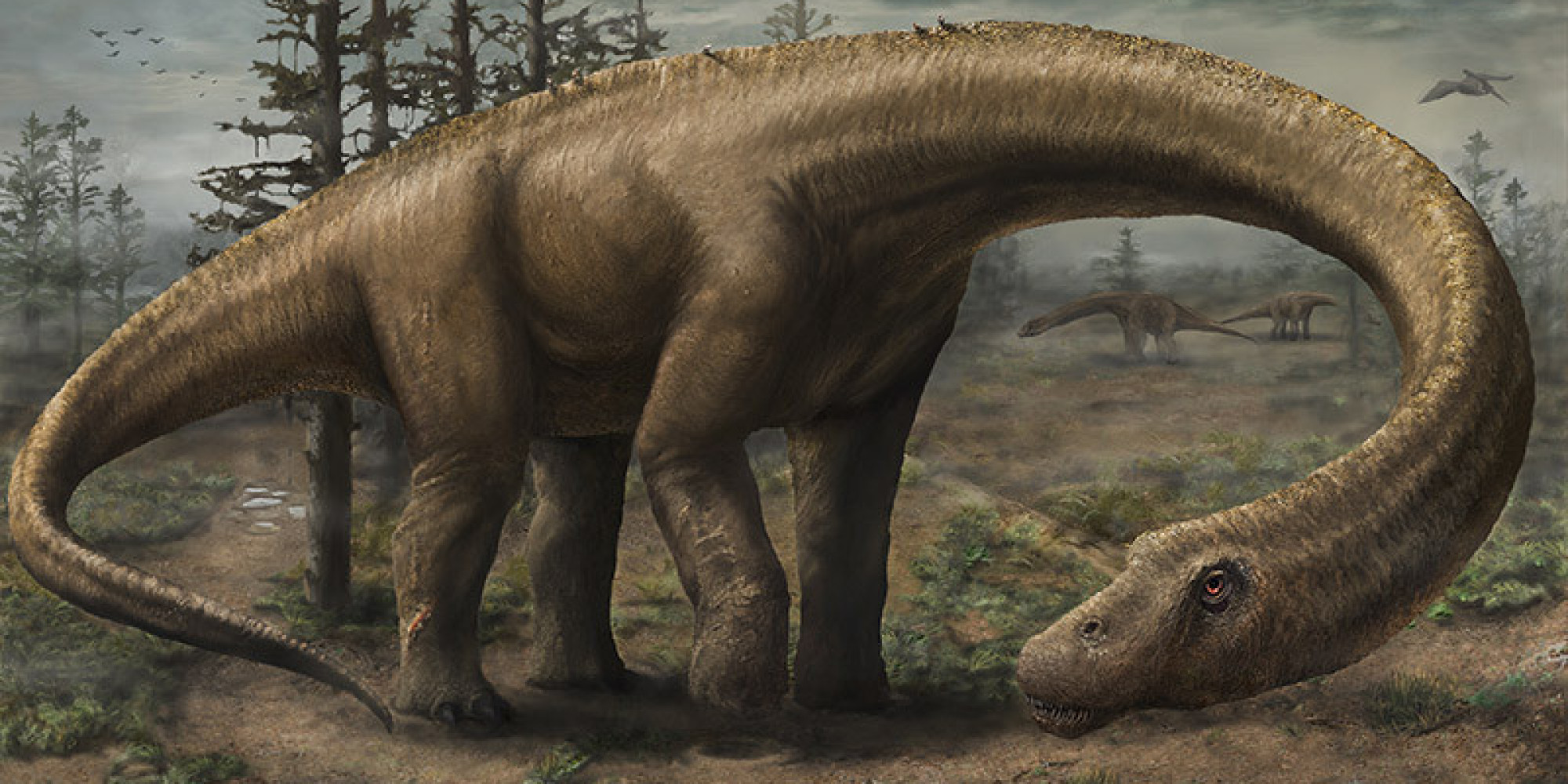 ʩ����η��Dreadnoughtus schrani��ԭͼ