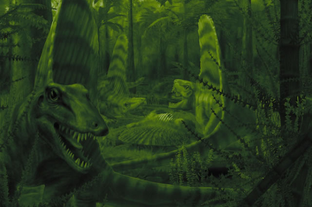 ���鶯����Զ��ʱ�ڵĽ�����һȺ��ҹè�ӡ�