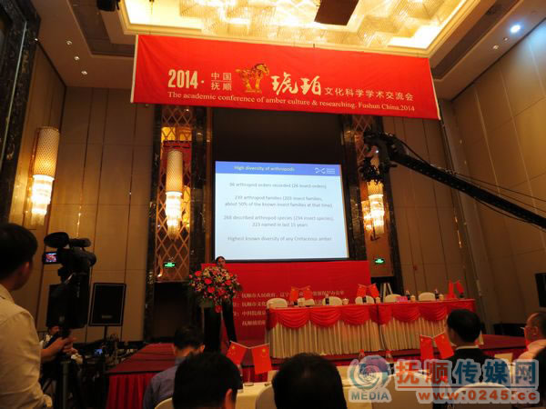 以“琥珀研究”为内容的2014年中国·抚顺琥珀文化科学学术交流会