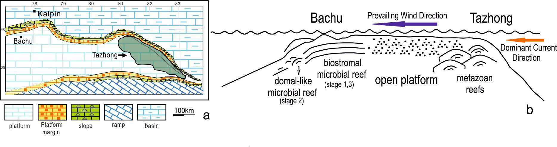 塔里木盆地巴楚地区良里塔格组微生物礁的控制因素
