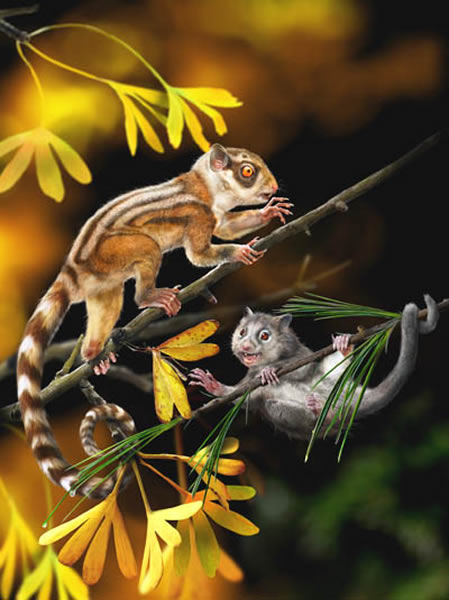 �����޸�ԭͼ�������й�٪�޼͵����ɶ��ޣ�