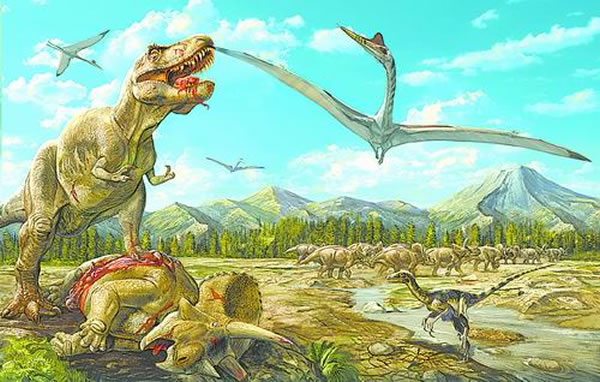 �Դ���Ʒ����ʳ�еİ�����