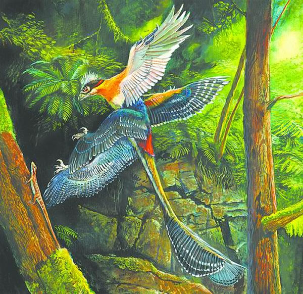 �Դ���Ʒ��С����