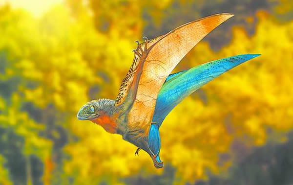 �Դ���Ʒ���������