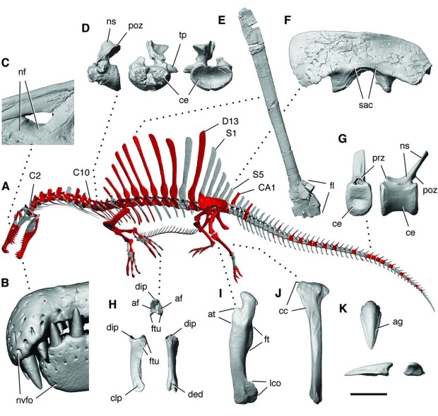 �»�ʯ��ʾ����������Ӿ��������