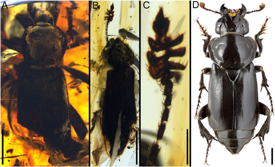 ��������������������е���׻�ʯ���ִ���ף��ң�