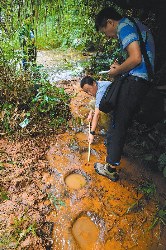 �����ش�ʯ�������巢�ֵ����������㼣