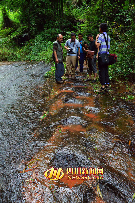 ר�Ҳ��������巢�ֵ����������㼣