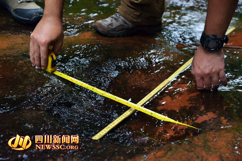 ר�Ҳ��������巢�ֵ����������㼣