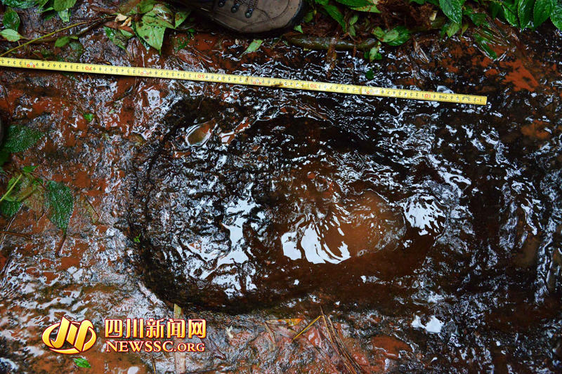 ר�Ҳ��������巢�ֵ����������㼣