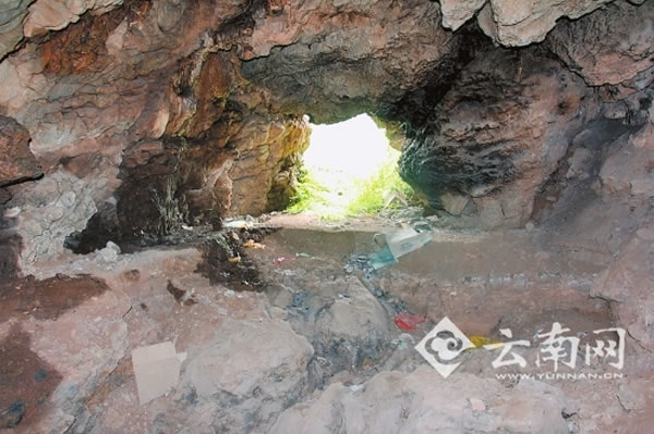 2�Ŷ�����