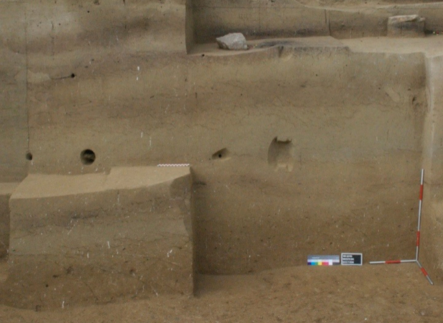 �µ����Ŀ��ŷ����Willendorf II