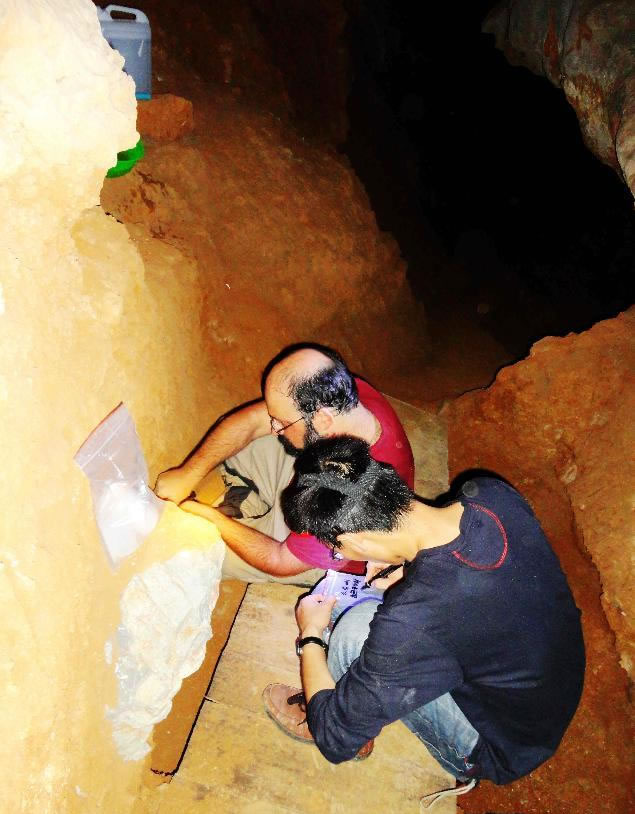 ���⿼��ѧ����ô�ᶴ��չ���й���