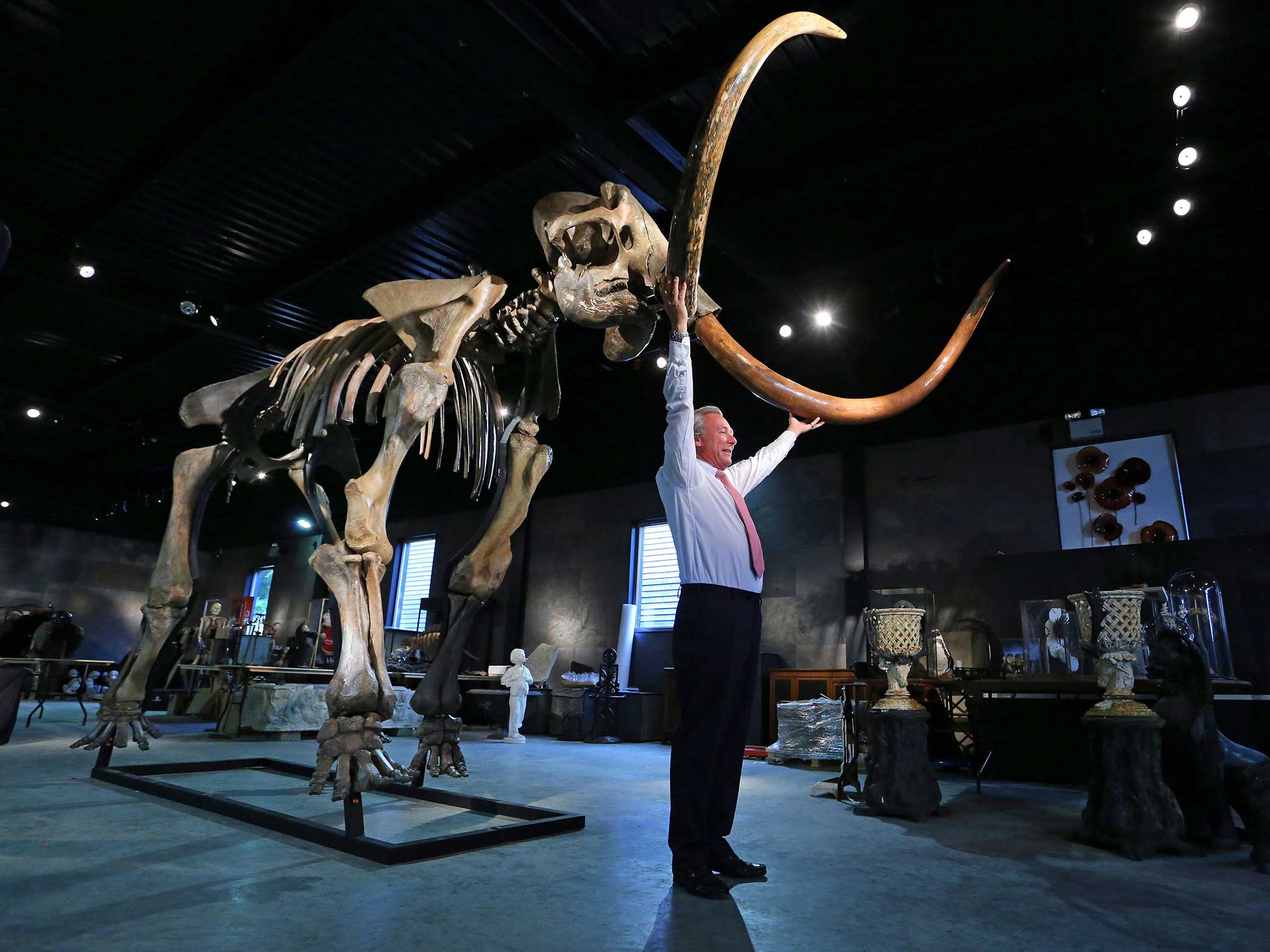 Ӣ����������һ�����������Ʒ�����������������������Ǽܻ�ʯ