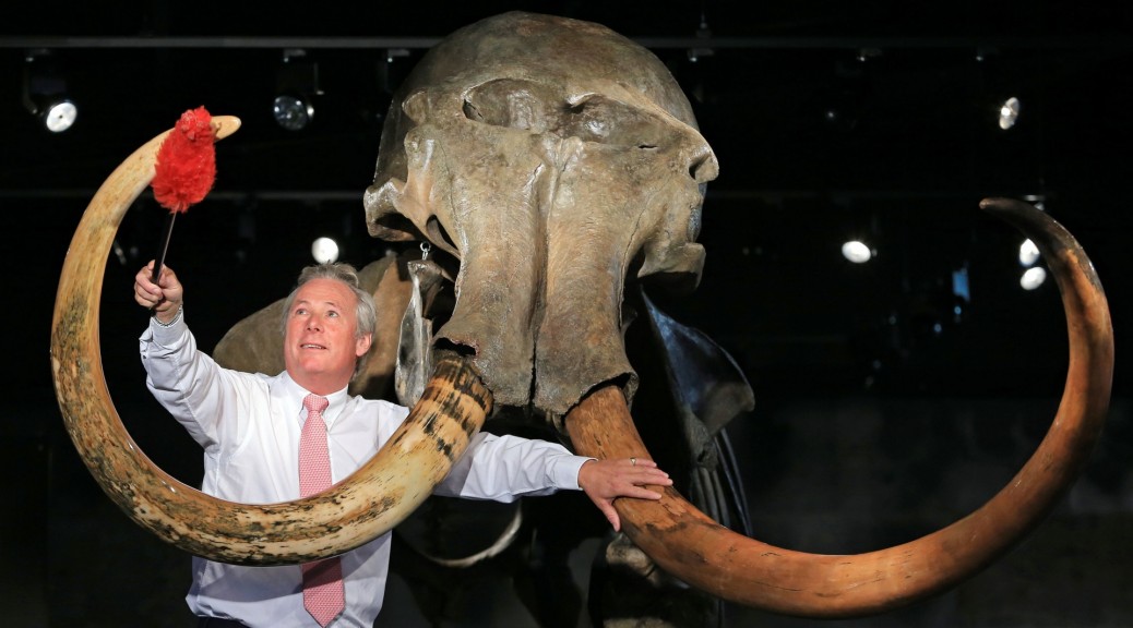 Ӣ����������һ�����������Ʒ�����������������������Ǽܻ�ʯ