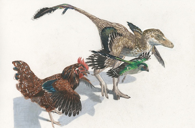 �µĿ�����ϵͼ����˫��վ����ʳ���������ǧ�������ӵ�����������