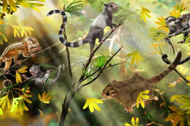 复原想象图,展示最新发现并命名的3种生活在侏罗纪森林中的早期哺乳动物。