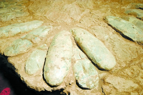 ��Ͽ���ͳ��ε�����Ͽ��������ʯ�ı�־��Ҳ����Ͽ�����ż�԰�����֮��������ص���Դ�����ͼ���ϡ�еĴ����ԣ���Ϊ��Ͽ��ؿ�������ʯ�Ĵ���֮����