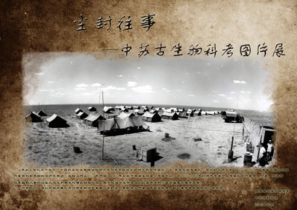 中国古动物馆推出“中苏中亚古生物考察图片展”