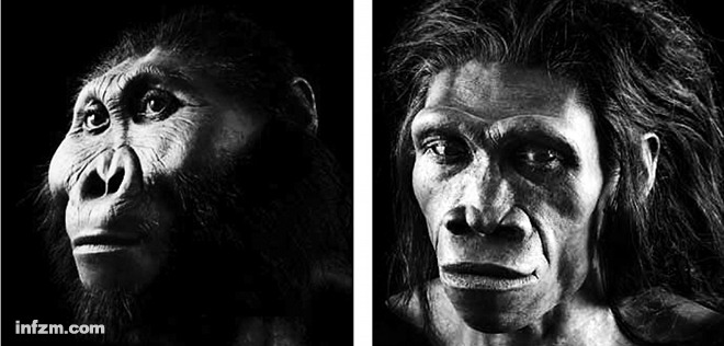 ʯ��ʱ������ʳ�ṹ�����ǵ�Զ�ס����ϰ��ˡ���Paranthropusboseii������ס�ڲ�ԭ�ϡ������ݻ�ʯ�ϵķ��Ӳ����������������ϰ��ˡ�����Ҫʳ���ǲݡ���