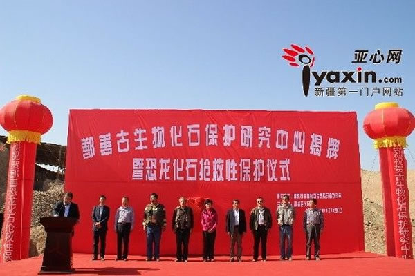 �й��׸������ﻯʯ�����о��������½�۷�Ƴ���