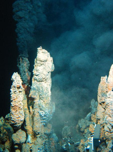 研究指出现今地球上所有的生命形式都起源于海底的火山口