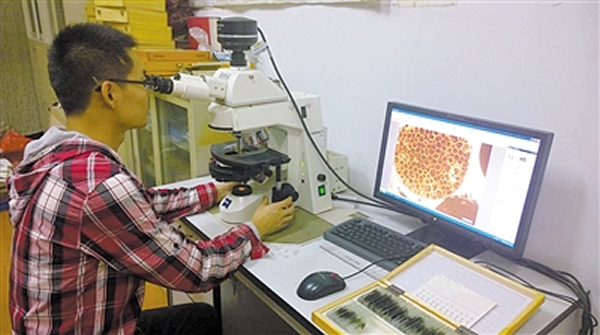 科研人员在研究瓮安生物群“胚胎”化石