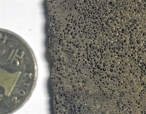 瓮安生物群“胚胎”化石样本