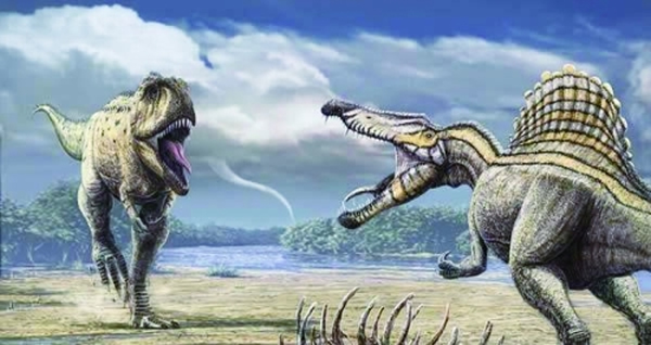 ���������ң��а������