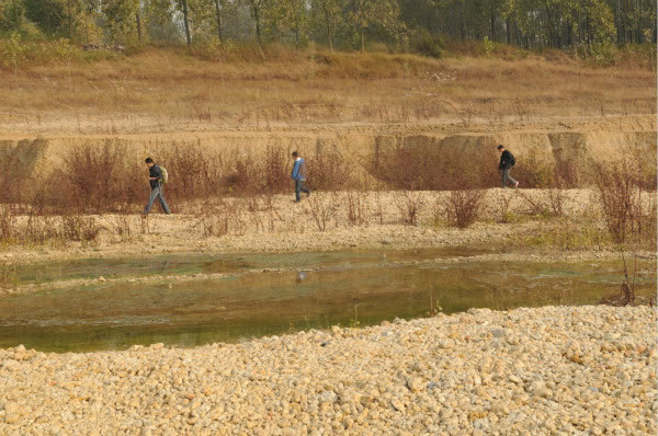 �п�Ժ�ż�׵������������о���ר�ҿ�����Ǩ�����ʺӹ�������ַ