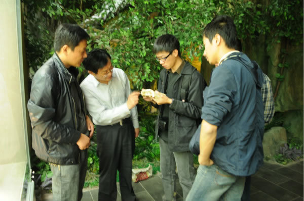 �п�Ժ�ż�׵������������о���ר�ҿ�����Ǩ�����ʺӹ�������ַ