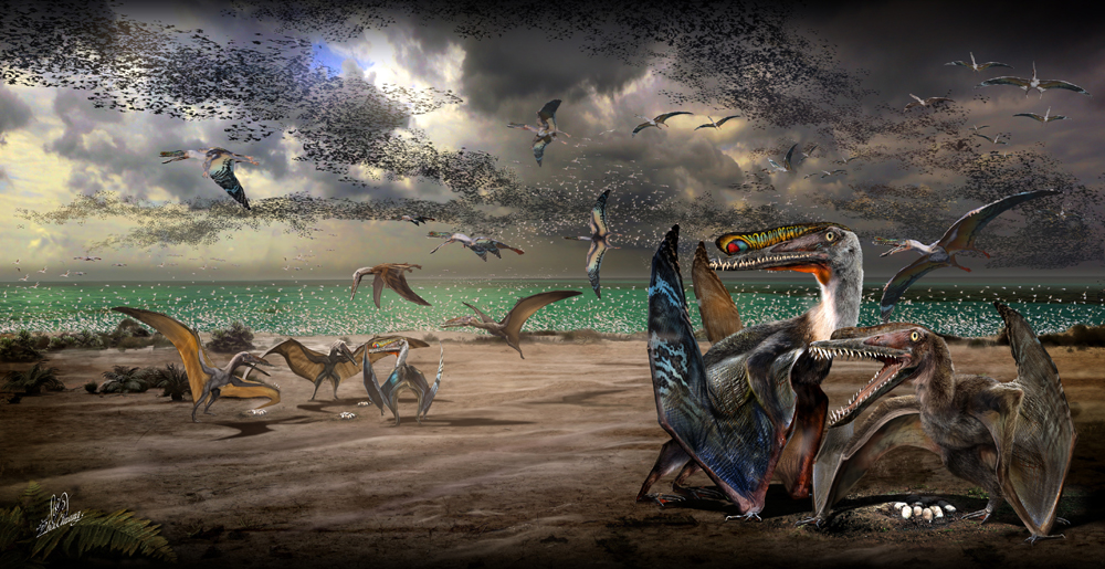 ��ɽ����������Hamipterus tianshanensis����ԭͼ���Դ� �棩