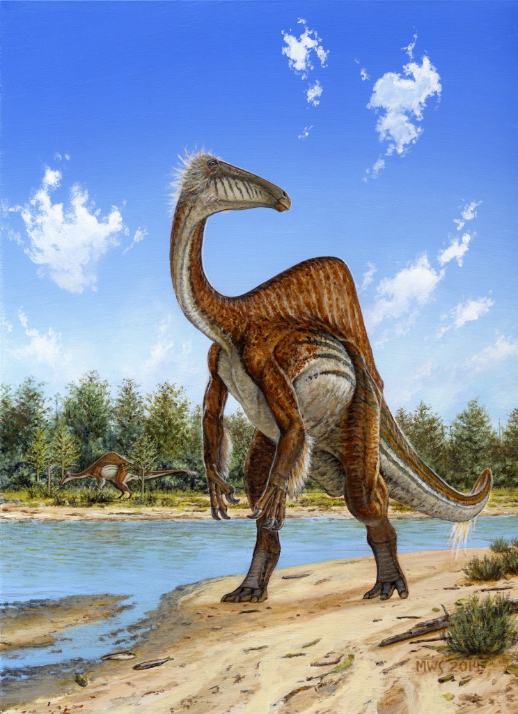 �·��ֵ������������Deinocheirus mirificus����ԭͼ
