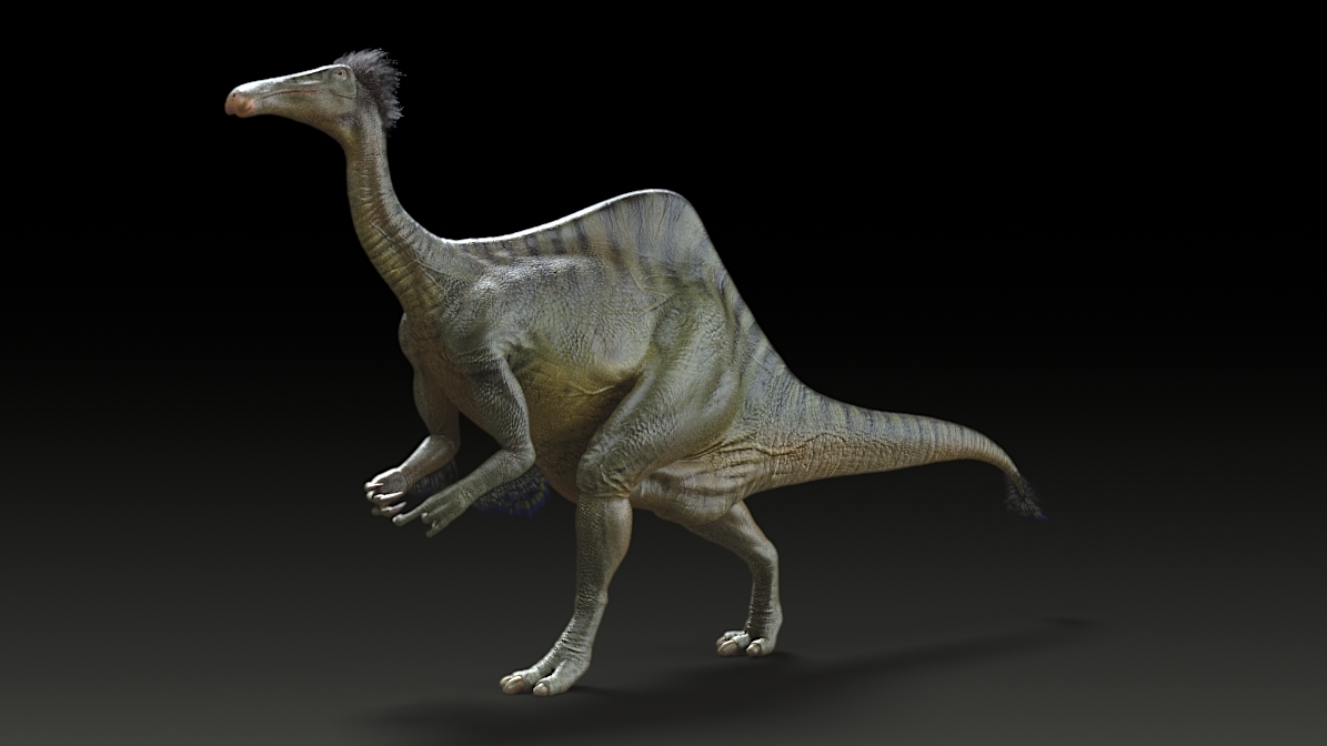 �·��ֵ������������Deinocheirus mirificus����ԭͼ